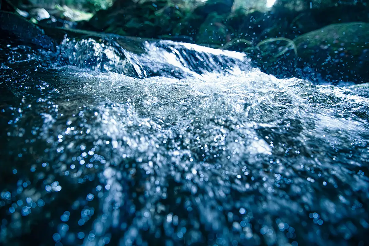 Oy Pumppulohja Ab byter namn till River Pump Oy Ab